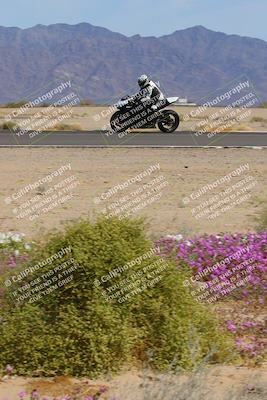 media/Mar-12-2023-SoCal Trackdays (Sun) [[d4c8249724]]/Turn 15 Inside Bloom (130pm)/